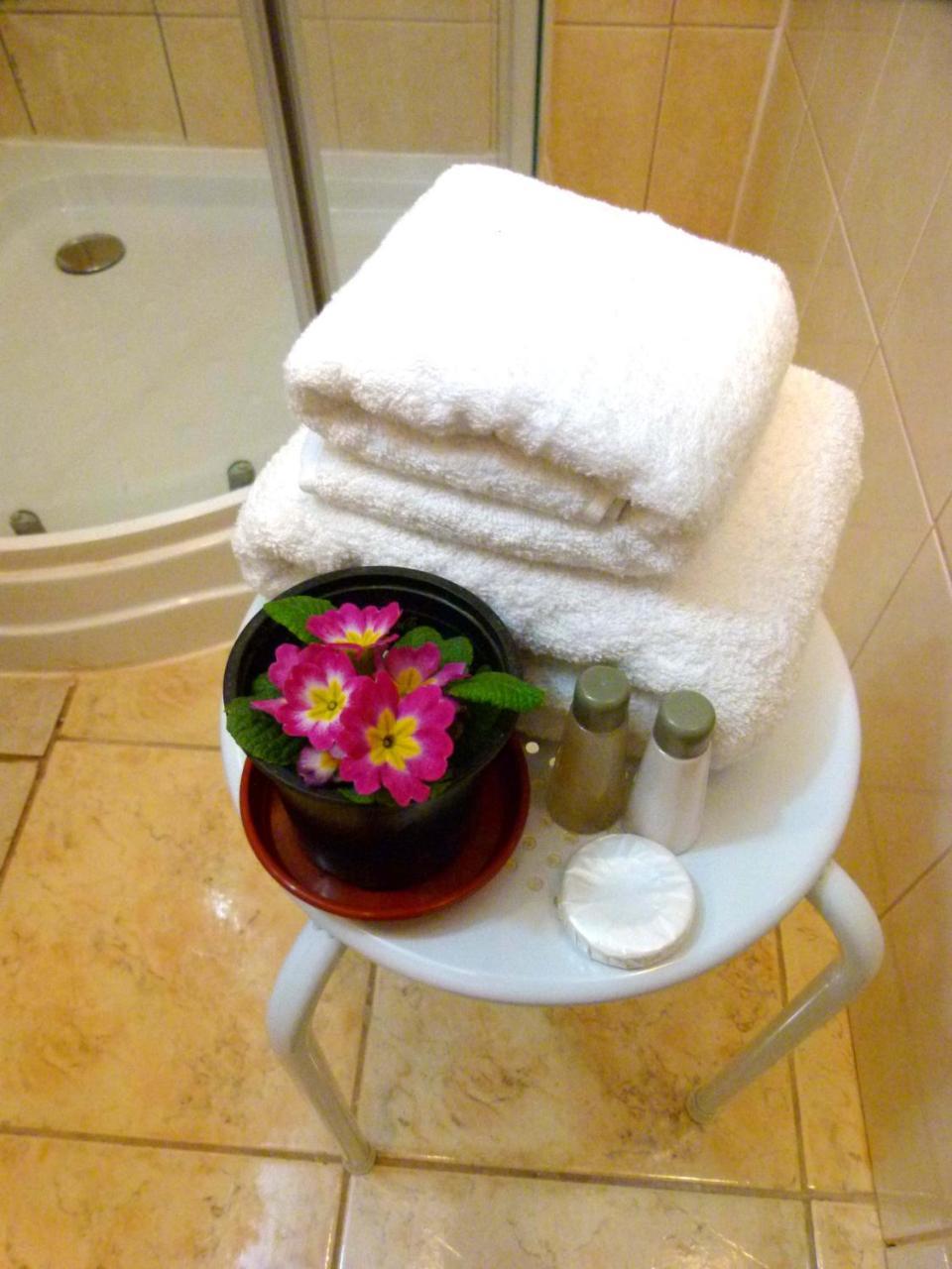 Hostal B&B Concepción Dış mekan fotoğraf